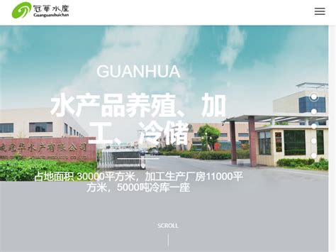 盐城网站设计公司大全与盐城企业网站广告投放创意制作指南